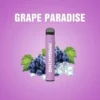 Maskking GT 500Hits - grape-paradice